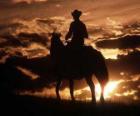 Cowboy günbatımında sürme